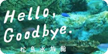 Hello Goodbye マリンピア松島水族館